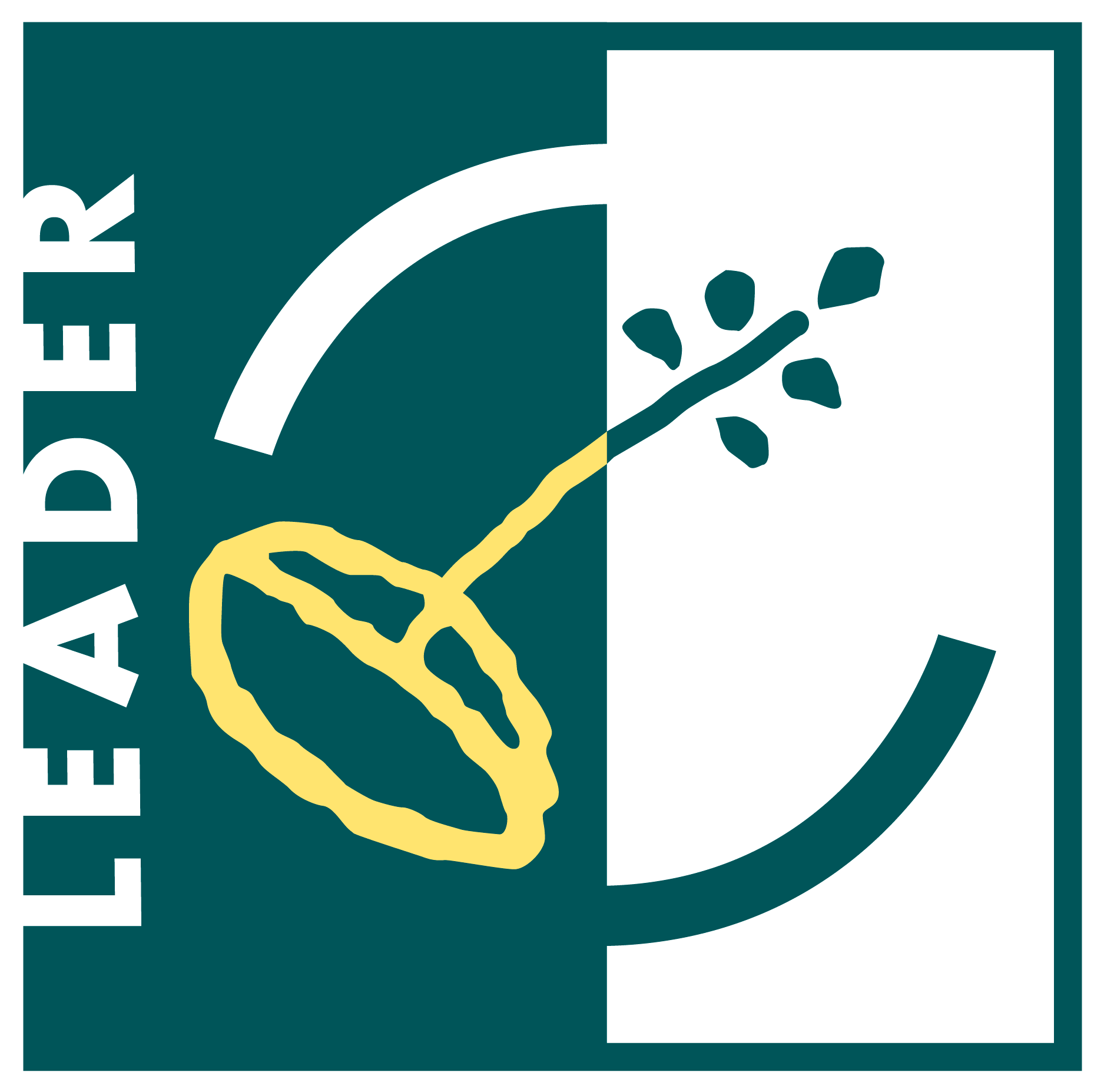 Programa LEADER